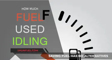 Idling Cars: Fuel Consumption and Environmental Impact