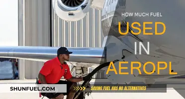 Fuel Consumption in Aviation: How Much is Too Much?