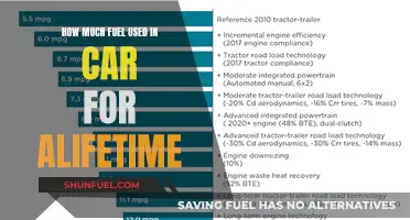 Fuel Efficiency: Tracking Lifetime Car Gas Consumption