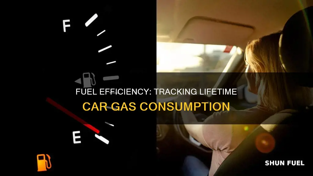 how much fuel used in car for alifetime