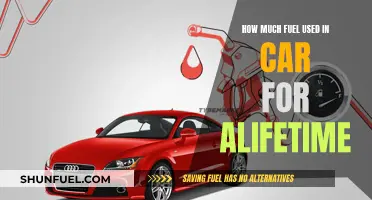 Fuel Consumption: A Car's Lifetime Expense