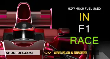 Fuel Efficiency in F1: How Much is Used?