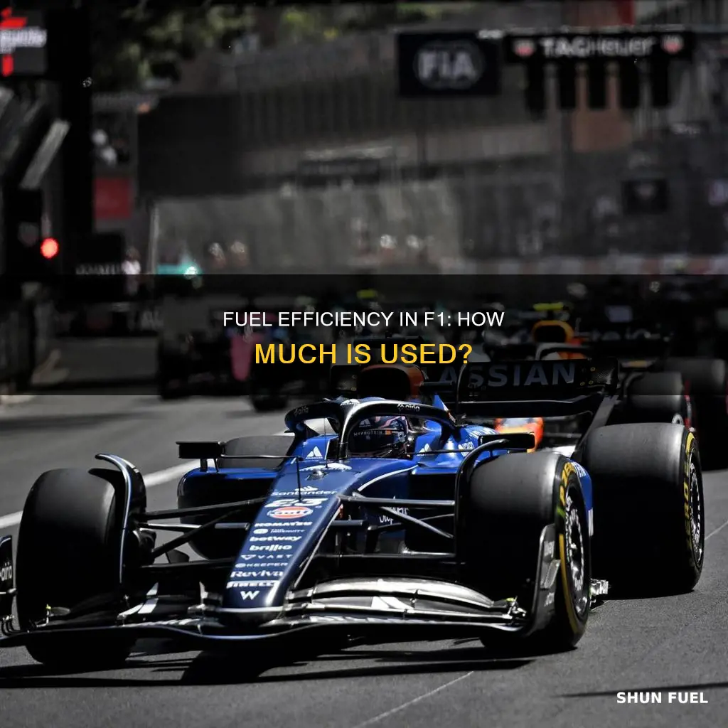 how much fuel used in f1 race