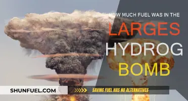 The Massive Fuel Capacity of the Largest Hydrogen Bomb