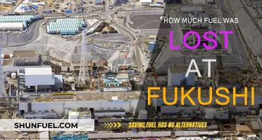 Fukushima's Lost Fuel: A Catastrophic Amount