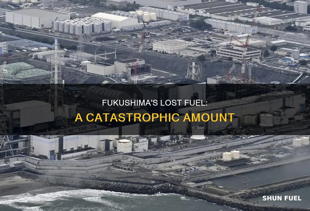 how much fuel was lost at fukushima