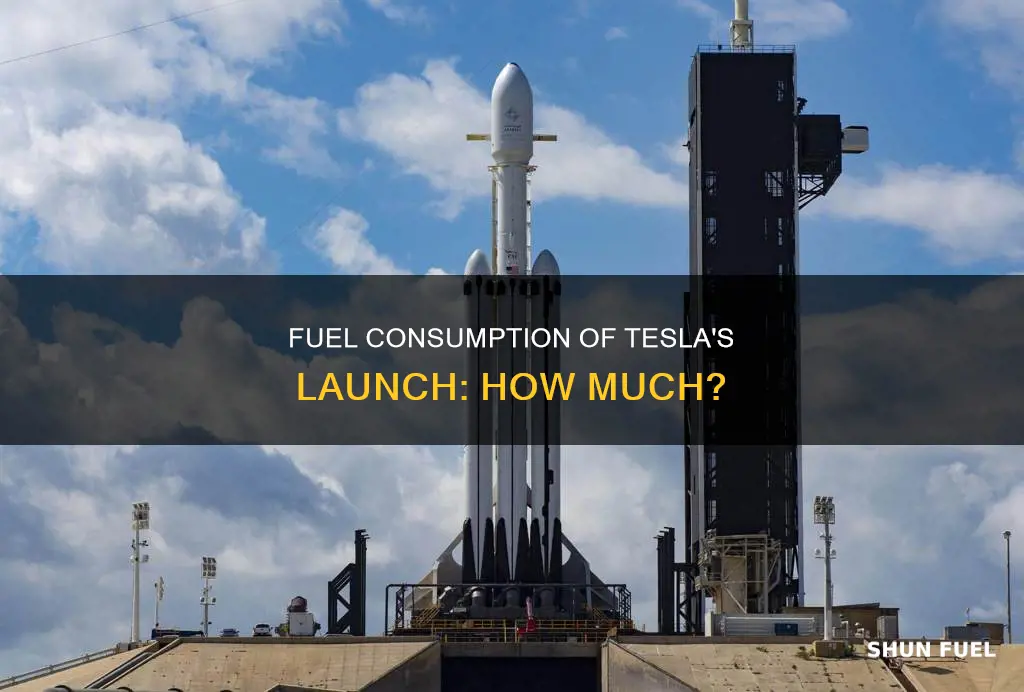 how much fuel was used in tesla