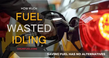 Idling Cars: Wasting Fuel and Money