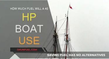 Fuel Consumption of 40 HP Boat Engines