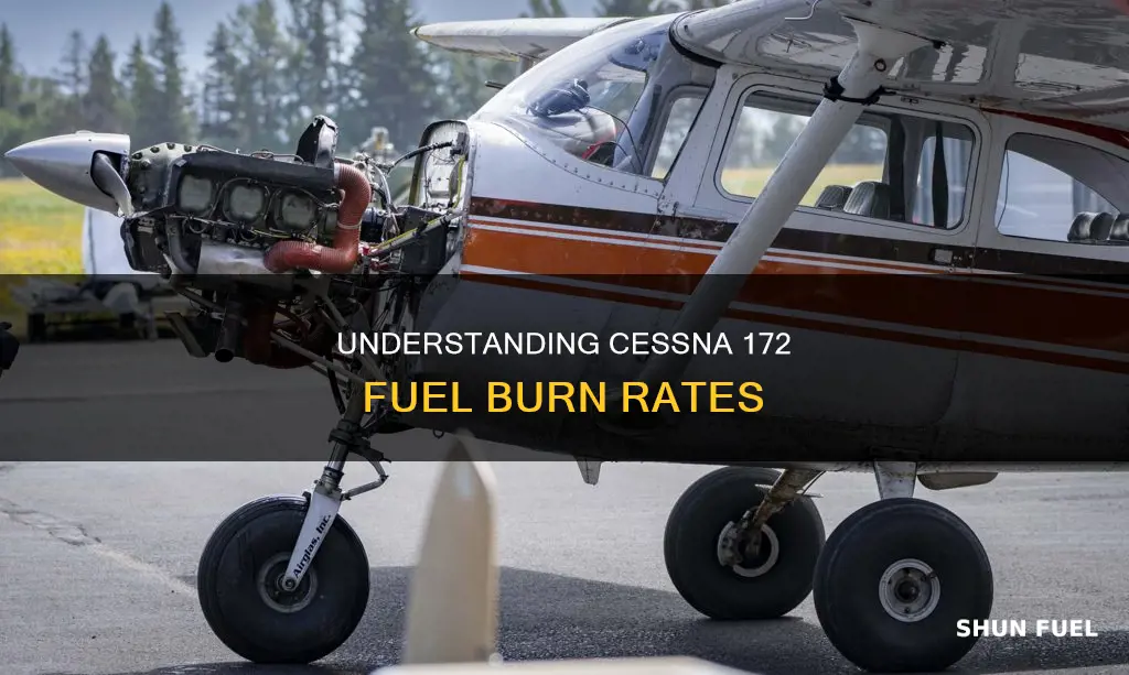 how much fuel will a cessna 172 burn per hour