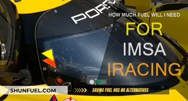 IMSA Fuel Strategy: How Much Fuel to Finish?
