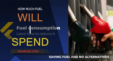Fuel Consumption: How Much Will It Cost You?