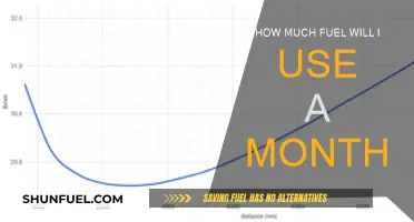 Monthly Fuel Consumption: How Much Gas Do You Burn?