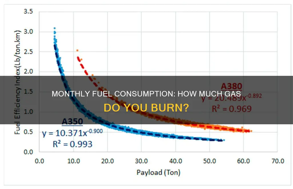 how much fuel will i use a month