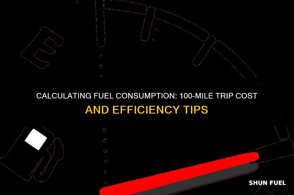 how much fuel will i use for 100 miles