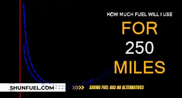Estimating Fuel Consumption for a 250-Mile Journey