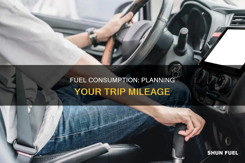 how much fuel will i use for my trip