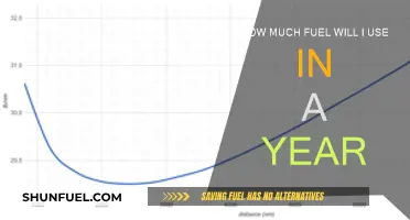 Fuel Consumption: Annual Cost and Usage Insights