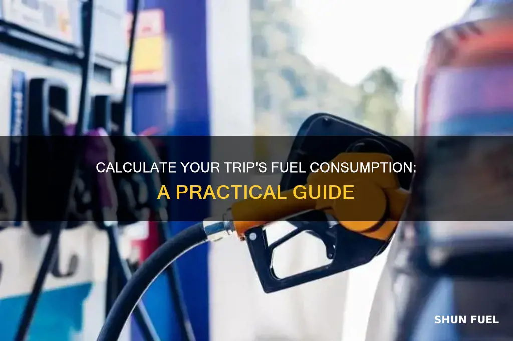 how much fuel will i use on a trip