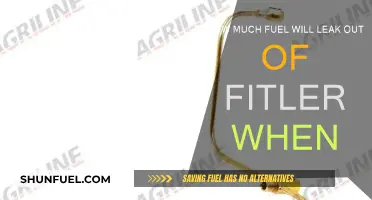 Fuel Filter Fiasco: How Much Fuel Can Leak Out?