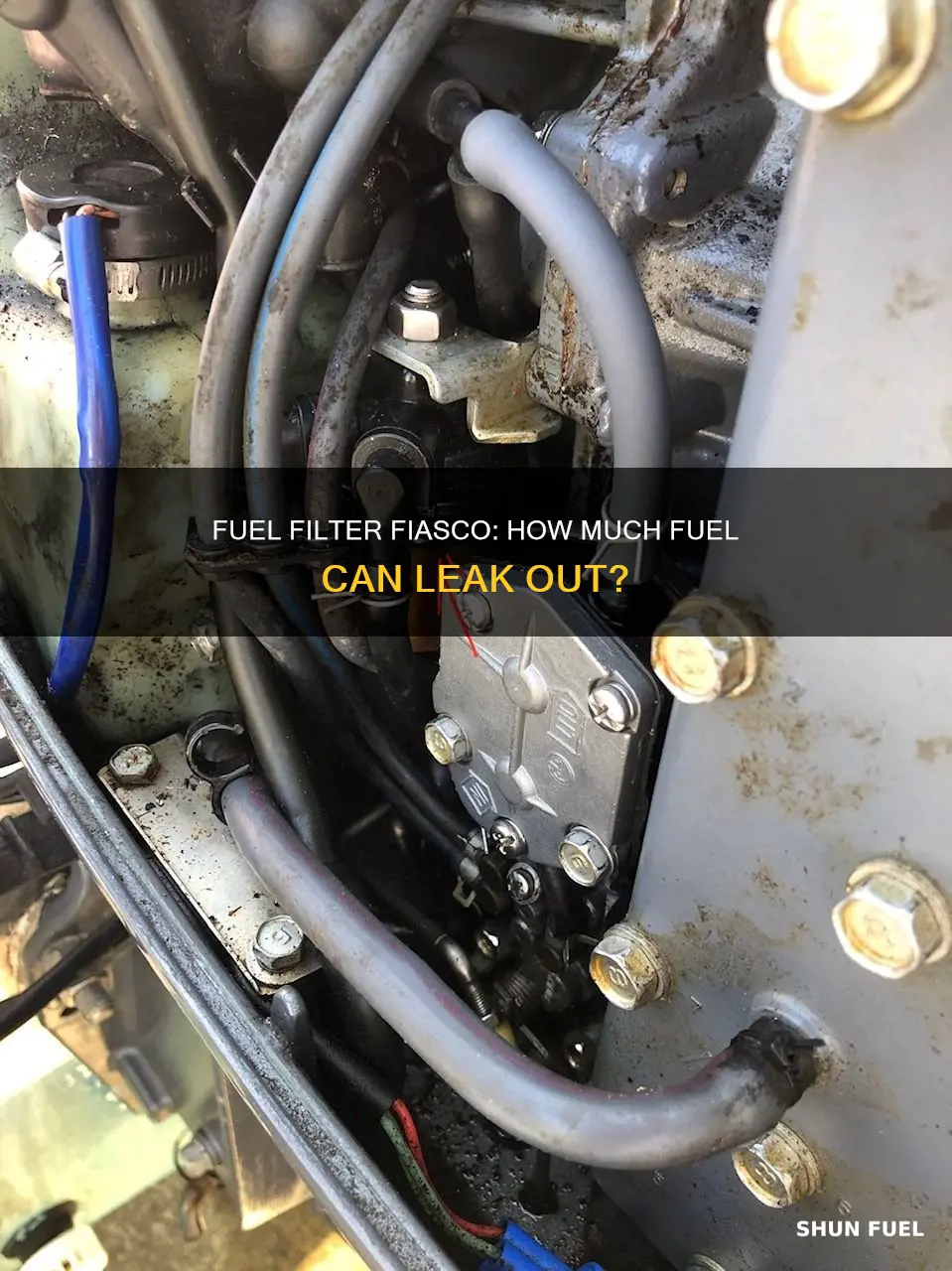how much fuel will leak out of fitler when