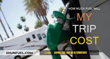 Fuel Cost: Planning a Trip on a Budget