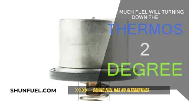 Turning Down Thermostat Saves Fuel and Money