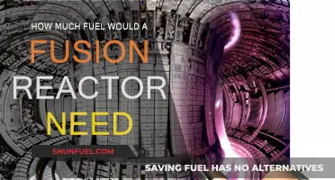 Fusion Reactors: Fuel Efficiency and Energy Output