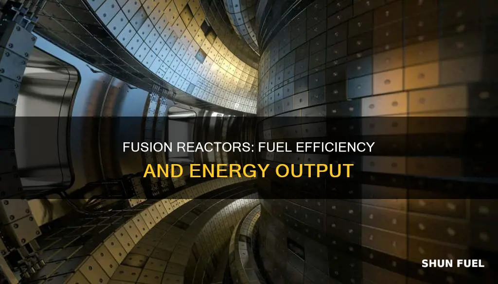 how much fuel would a fusion reactor need