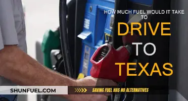 Fuel Consumption for a Road Trip to Texas