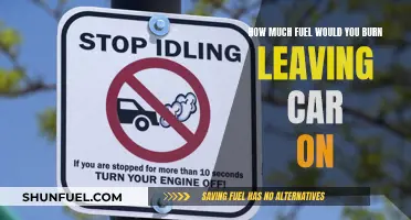 Burning Fuel: Idling Cars and Their Costly Impact