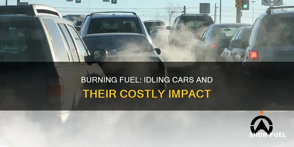 how much fuel would you burn leaving car on