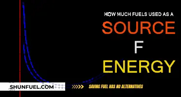 The World's Fuel Consumption: How Much Is Too Much?
