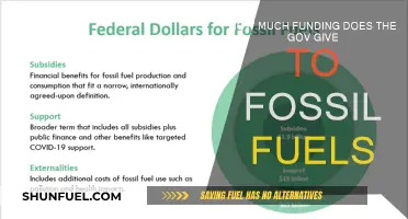 The Government's Dark Funding of Fossil Fuels
