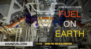 Fusion Fuel: Earth's Abundant Energy Source