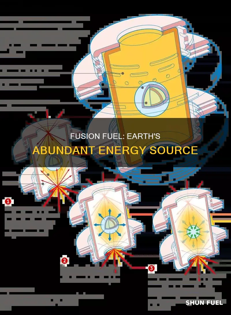 how much fusion fuel on earth