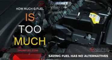 G Fuel Overload: How Much is Too Much?