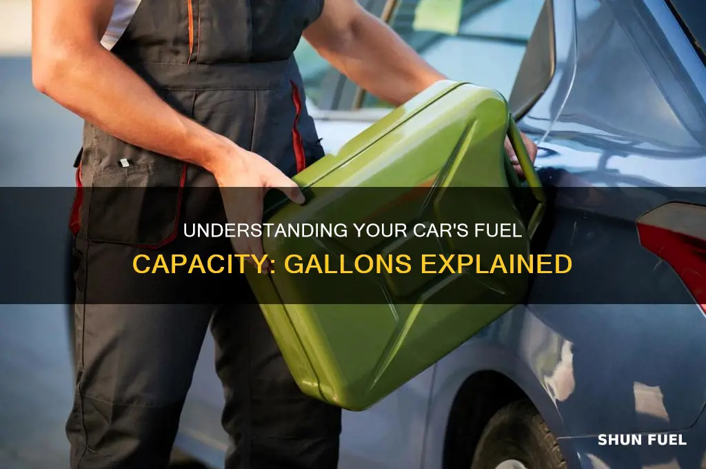 how much gallon fuel a car container