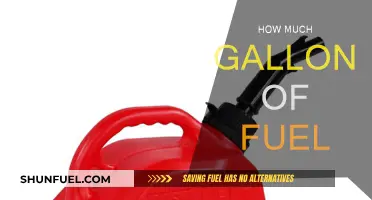 Fuel Gallons: How Much is Too Much?