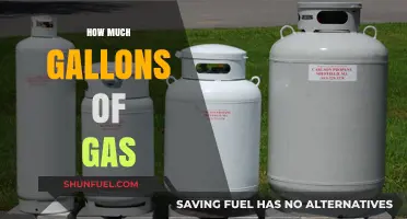 Gallons of Gas: Understanding Your Car's Consumption