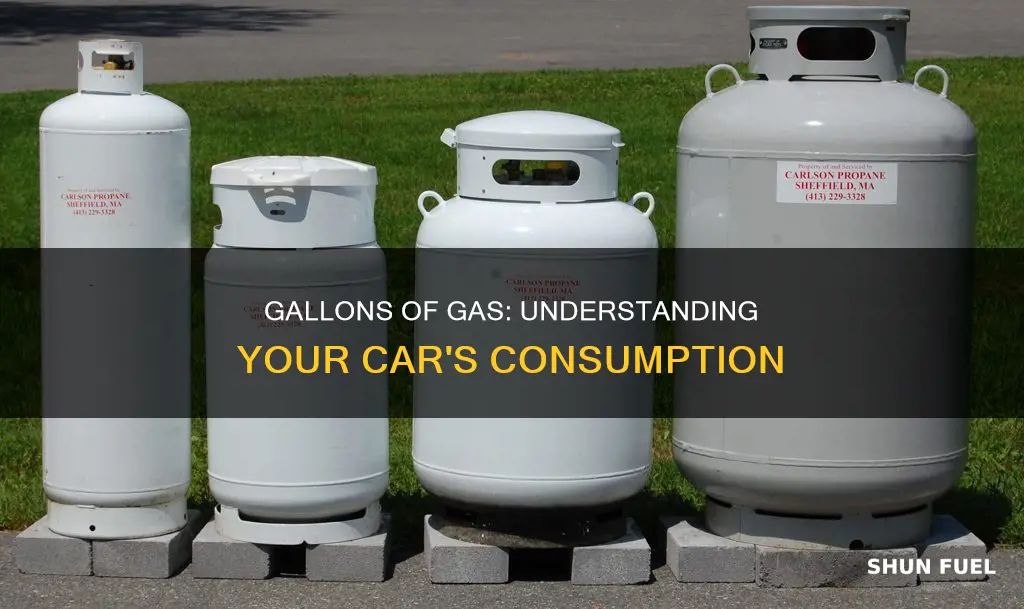 how much gallons of gas