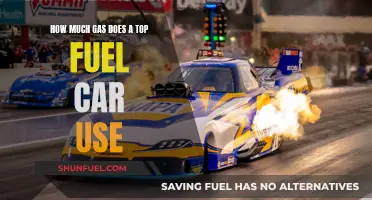 Exploring the Power: Gas Consumption of Top Fuel Cars