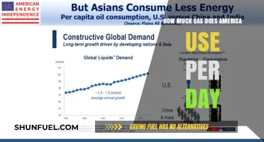 America's Daily Gas Consumption: A Huge Appetite
