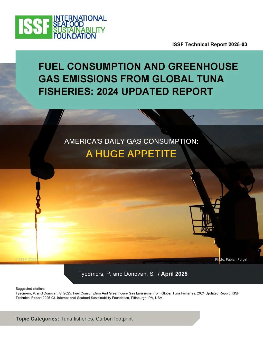 how much gas does america use per day