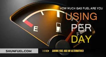 Monitoring Gas Usage: A Daily Fuel Consumption Guide