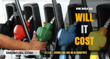 The Cost of Gas: How Much Does It Really Take?