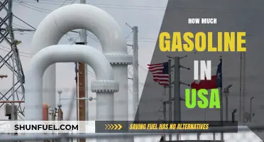 Gasoline Consumption in the USA: How Much?