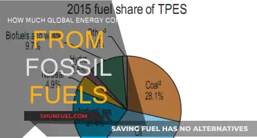 Fossil Fuels' Grip on Global Energy Supplies