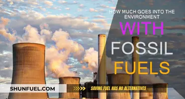 The Environmental Impact of Fossil Fuels
