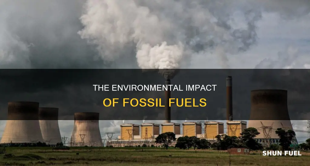 how much goes into the environment with fossil fuels